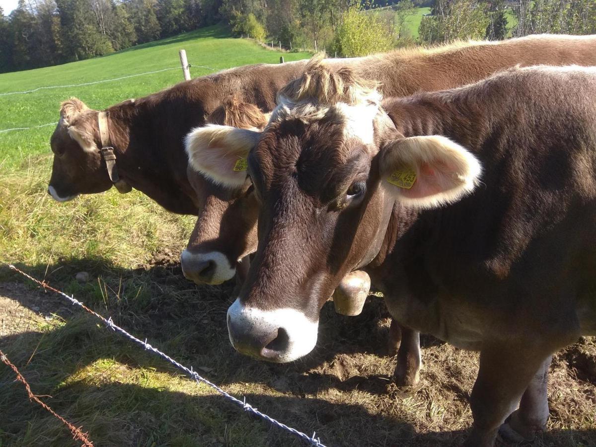 Ferienwohnung Trifts | Einzelbetten | Parkplatz Wangen im Allgäu Extérieur photo