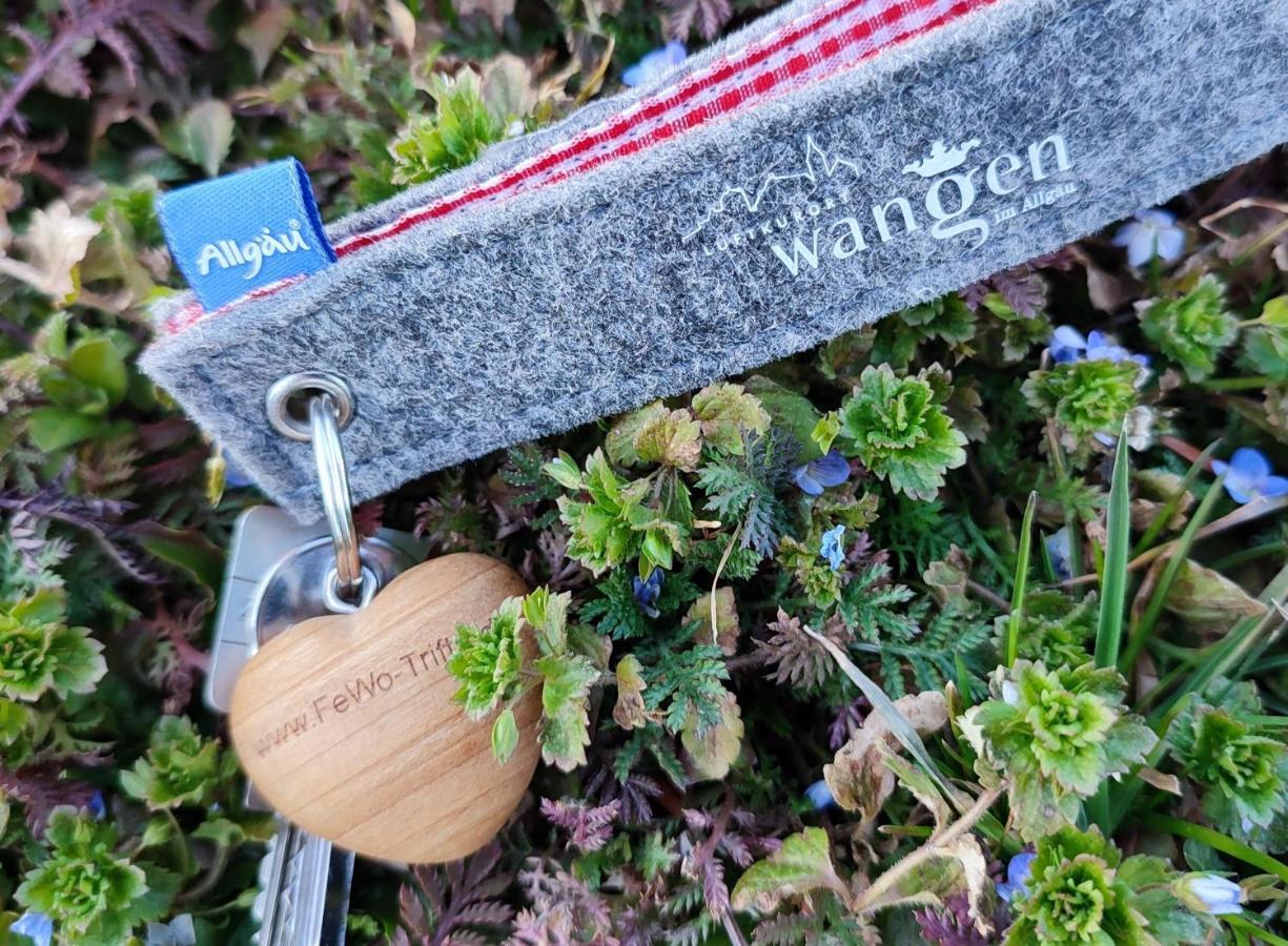 Ferienwohnung Trifts | Einzelbetten | Parkplatz Wangen im Allgäu Extérieur photo