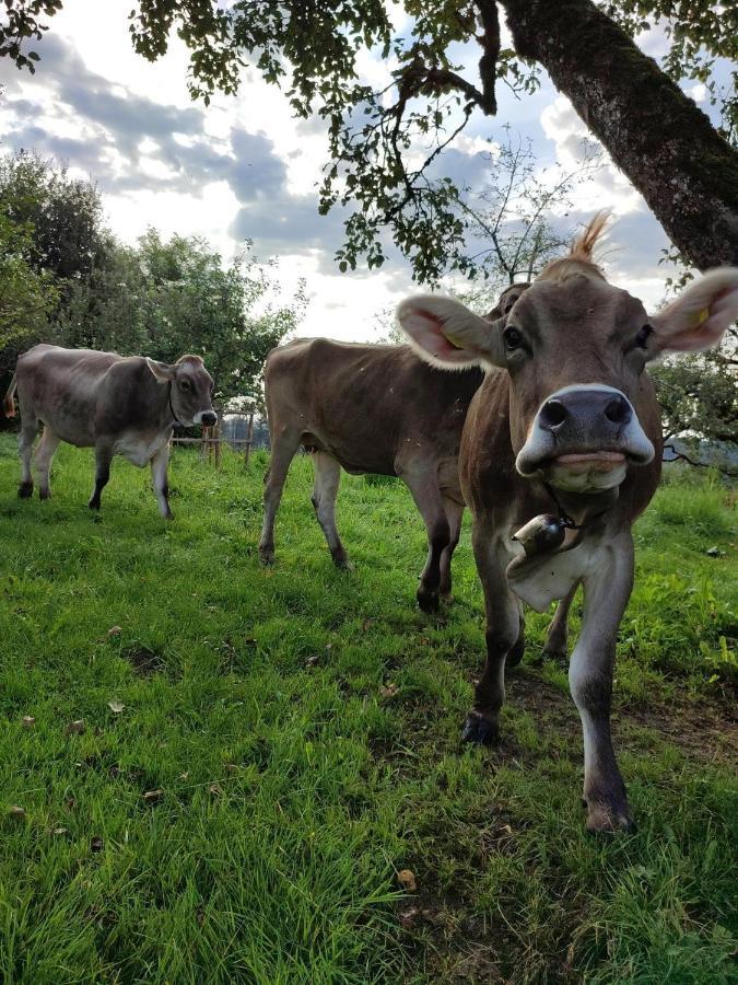 Ferienwohnung Trifts | Einzelbetten | Parkplatz Wangen im Allgäu Extérieur photo