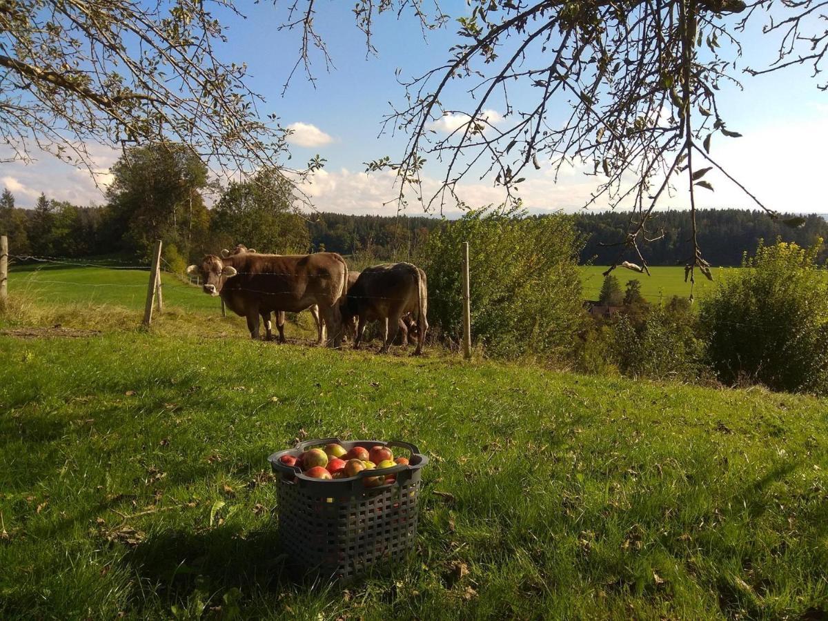 Ferienwohnung Trifts | Einzelbetten | Parkplatz Wangen im Allgäu Extérieur photo