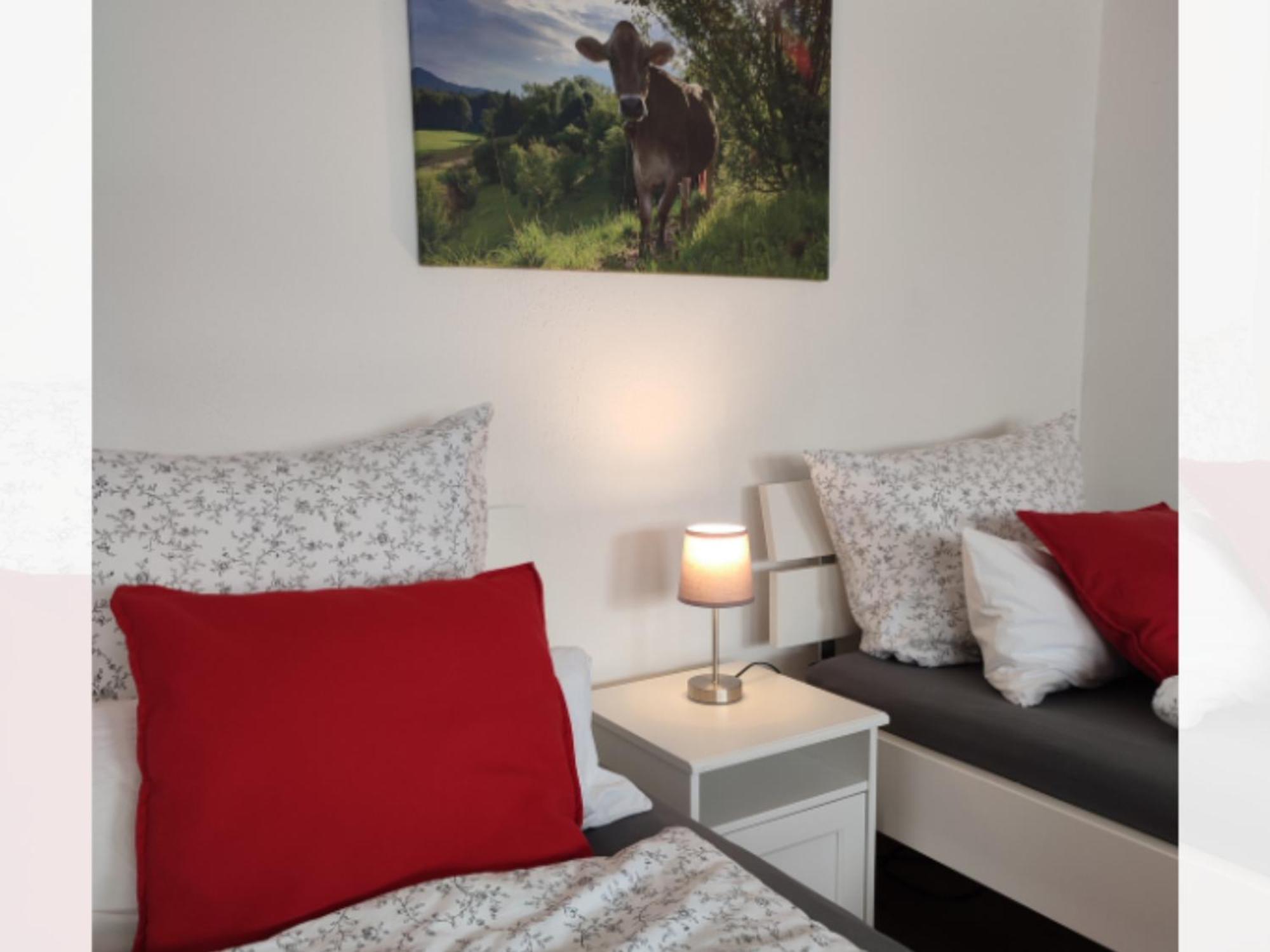 Ferienwohnung Trifts | Einzelbetten | Parkplatz Wangen im Allgäu Extérieur photo